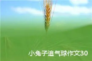 小兔子追气球作文300字