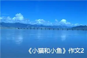 《小猫和小鱼》作文200字