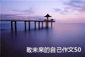 致未来的自己作文500字