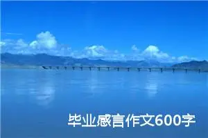 毕业感言作文600字