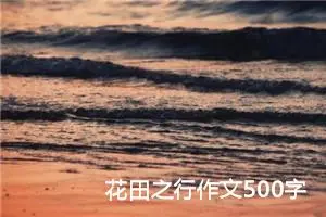 花田之行作文500字