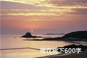 桂花树下600字