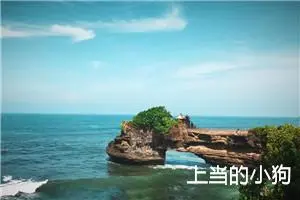 上当的小狗