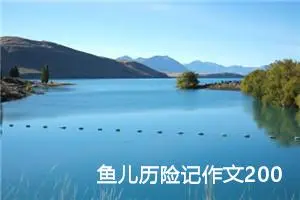 鱼儿历险记作文200字