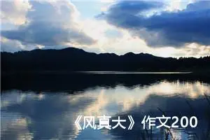 《风真大》作文200字