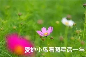 爱护小鸟看图写话一年级200字