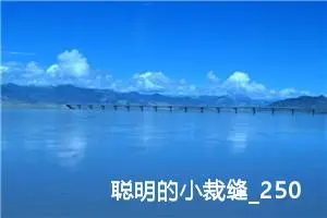 聪明的小裁缝_250字