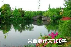 采蘑菇作文100字