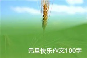 元旦快乐作文100字