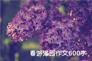 春游泽园作文600字