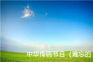 中华传统节日（难忘的中秋）作文500字