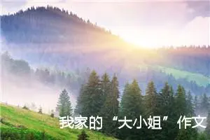 我家的“大小姐”作文800字