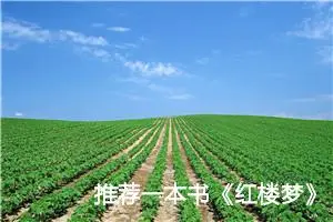 推荐一本书《红楼梦》作文600字