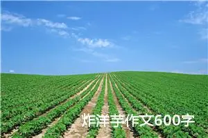 炸洋芋作文600字