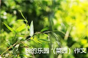 我的乐园（菜园）作文600字