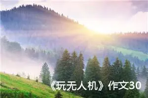 《玩无人机》作文300字