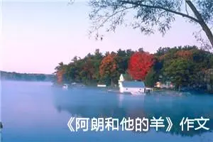 《阿朗和他的羊》作文300字