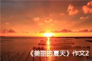 《美丽的夏天》作文200字