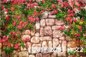 《巫师的故事》作文200字