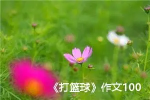 《打篮球》作文100字