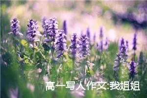 高一写人作文:我姐姐（二）