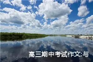 高三期中考试作文:与流浪狗相伴的日子