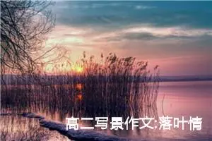 高二写景作文:落叶情怀