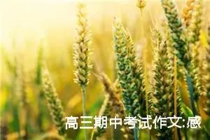 高三期中考试作文:感受自然（四）