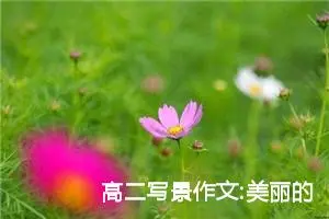 高二写景作文:美丽的滨河公园