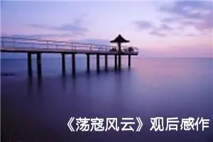 《荡寇风云》观后感作文1200字