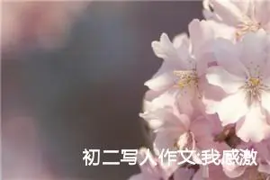 初二写人作文:我感激的一个人