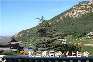 初三观后感:《上甘岭》观后感六