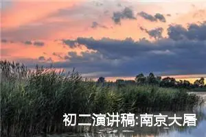 初二演讲稿:南京大屠杀