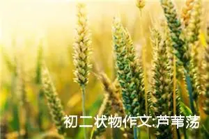 初二状物作文:芦苇荡中美的旋律