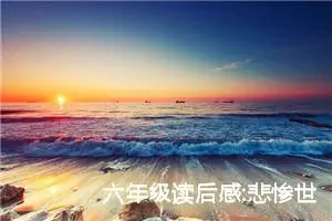 六年级读后感:悲惨世界读后感