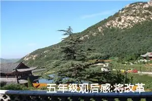 五年级观后感:将改革进行到底观后感（五）