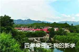 四年级日记:我的新学期（五）