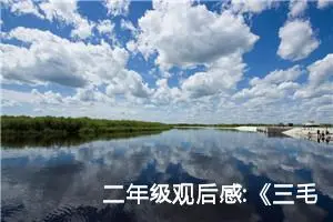 二年级观后感:《三毛从军记》观后感