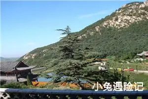 小兔遇险记