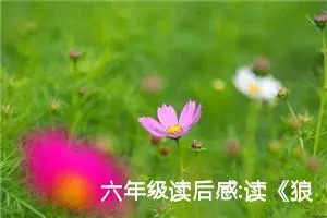 六年级读后感:读《狼王梦》有感