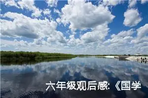 六年级观后感:《国学小名士》