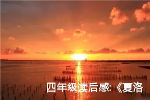 四年级读后感:《夏洛的网》读后感6