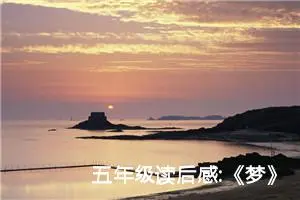 五年级读后感:《梦》观后感