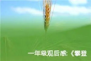 一年级观后感:《攀登者》观后感9