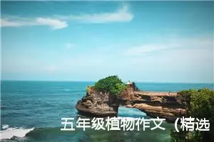 五年级植物作文（精选20篇）