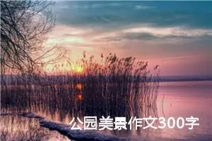 公园美景作文300字三年级（精选10篇）