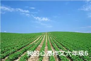 我的心愿作文六年级600字（精选13篇）