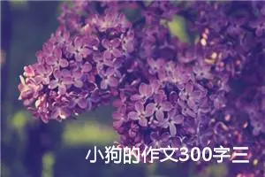 小狗的作文300字三年级（精选10篇）