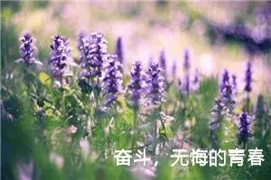 奋斗，无悔的青春