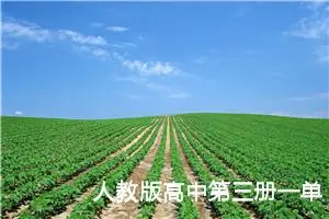 人教版高中第三册一单元作文:被需要=重要